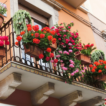 Balcon très coloré et fleuri